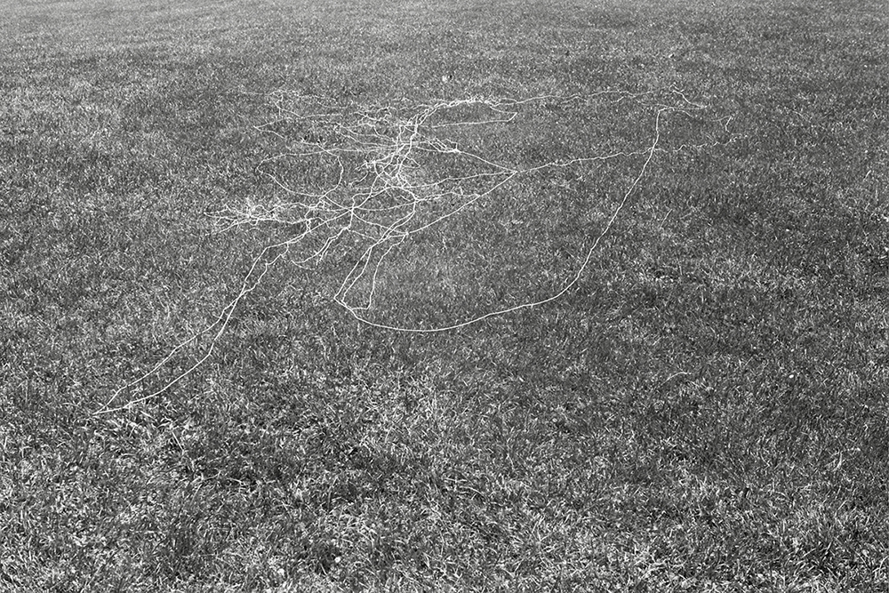 canvas thread blown by the wind while flying a kite Long Meadow variable dimension documentary photograph, gelatin silver print 2013