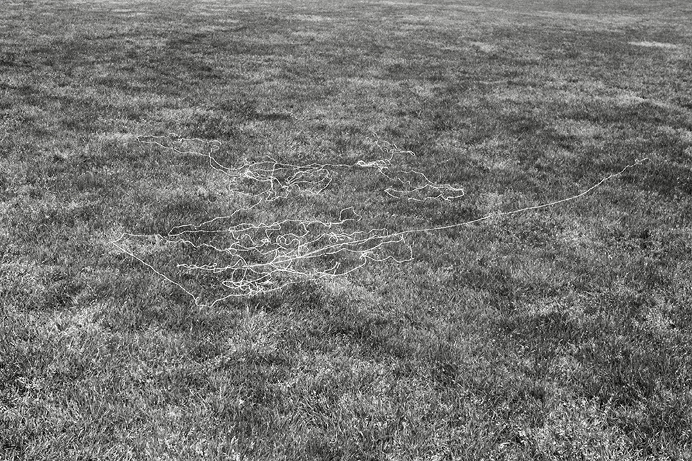 canvas thread blown by the wind while flying a kite North Meadow variable dimension documentary photograph, gelatin silver print 2014